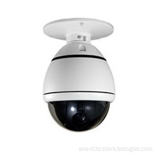 Mini PTZ Dome Camera, 10x Optical/10x Zoom/4 Tours/4 Patterns/8 Swings/360° Rotation/128 Presets